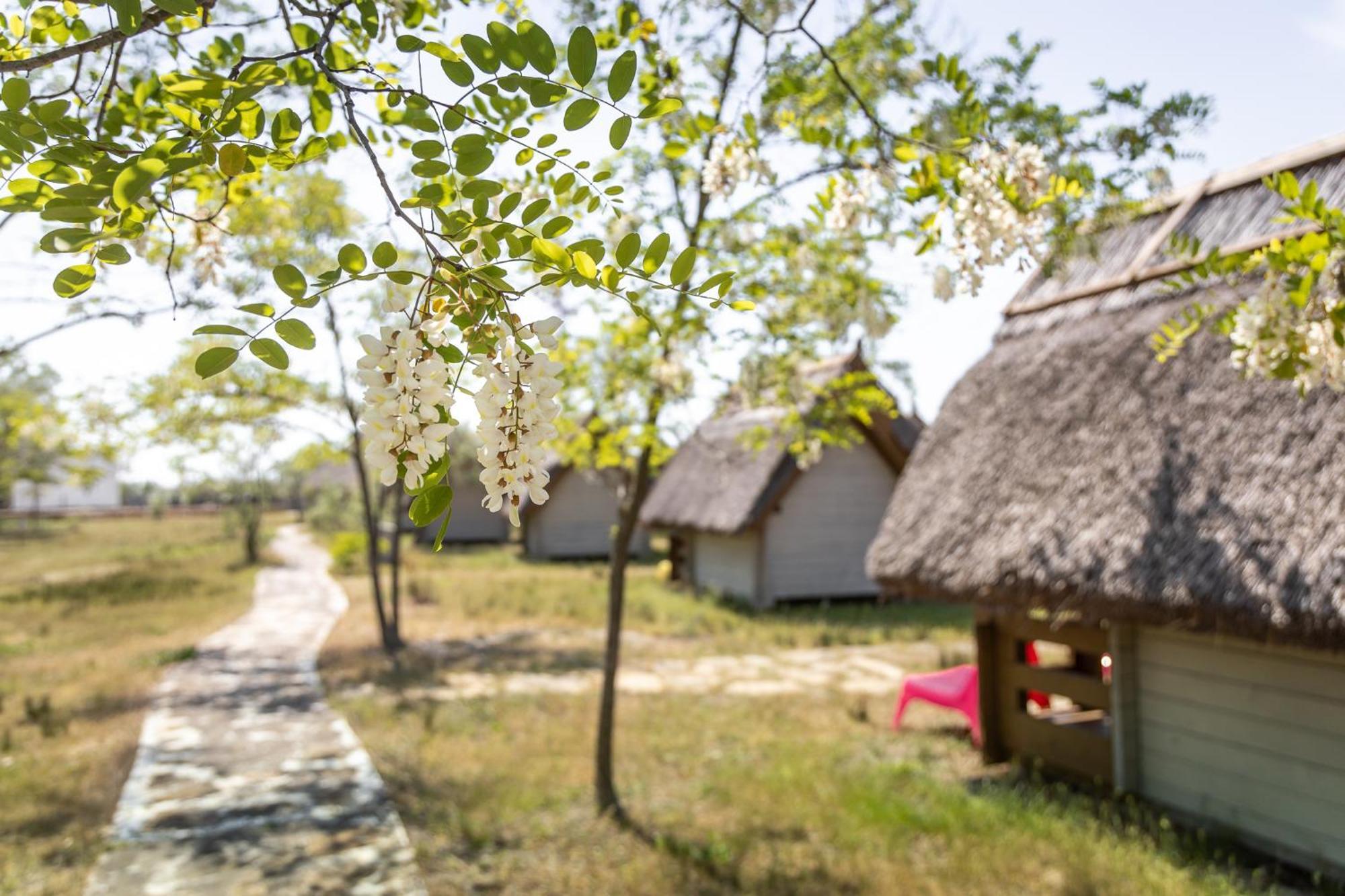 Dolphin Camping Hotel Sfântu Gheorghe Eksteriør billede