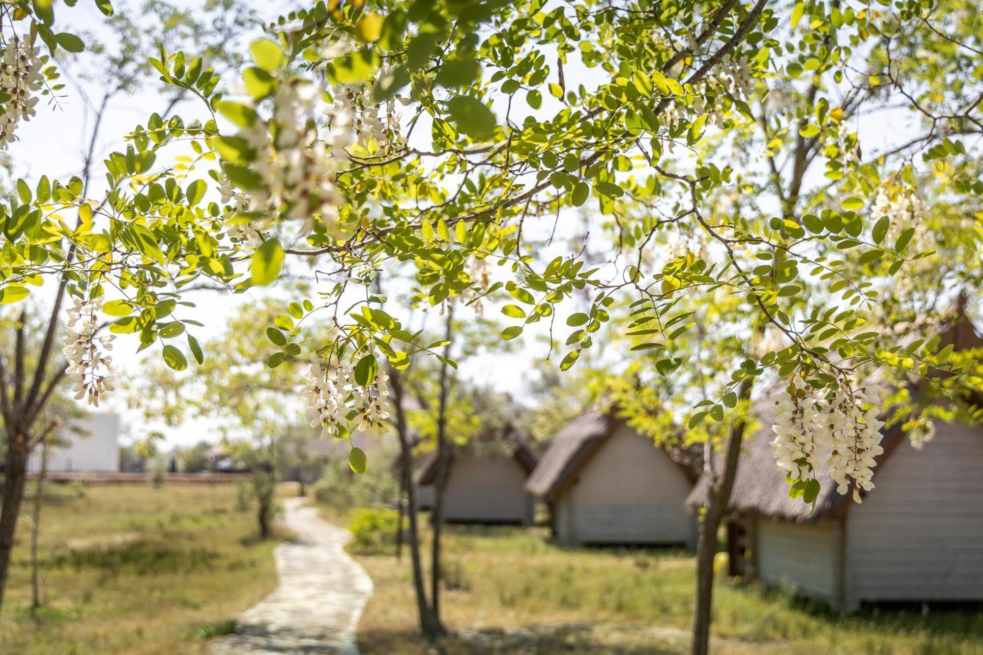 Dolphin Camping Hotel Sfântu Gheorghe Eksteriør billede