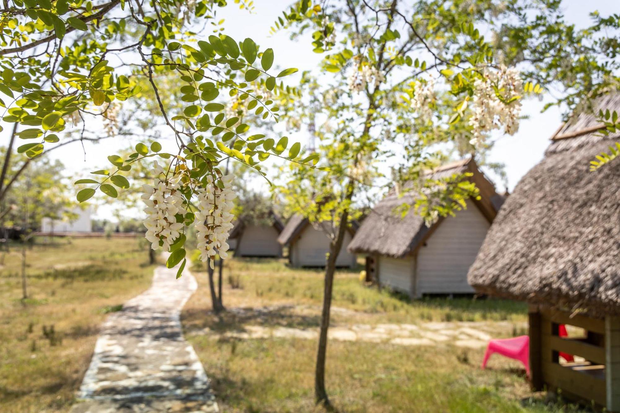 Dolphin Camping Hotel Sfântu Gheorghe Eksteriør billede