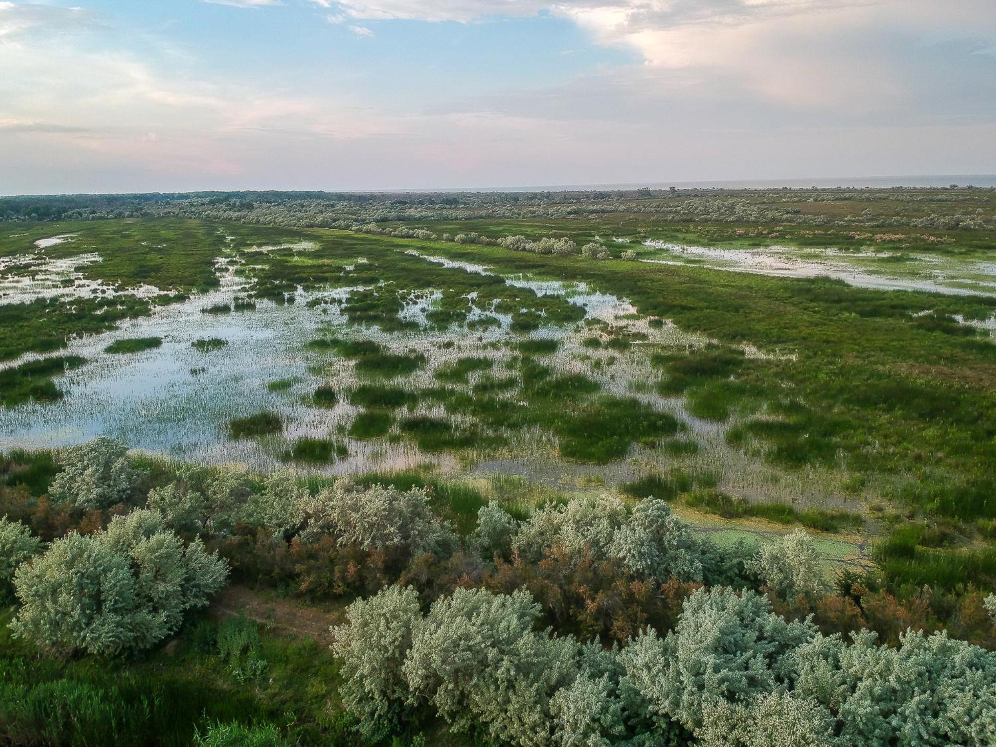 Dolphin Camping Hotel Sfântu Gheorghe Eksteriør billede